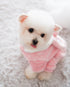 Little Bunny Fluffy Hoodie